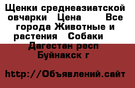 Щенки среднеазиатской овчарки › Цена ­ 1 - Все города Животные и растения » Собаки   . Дагестан респ.,Буйнакск г.